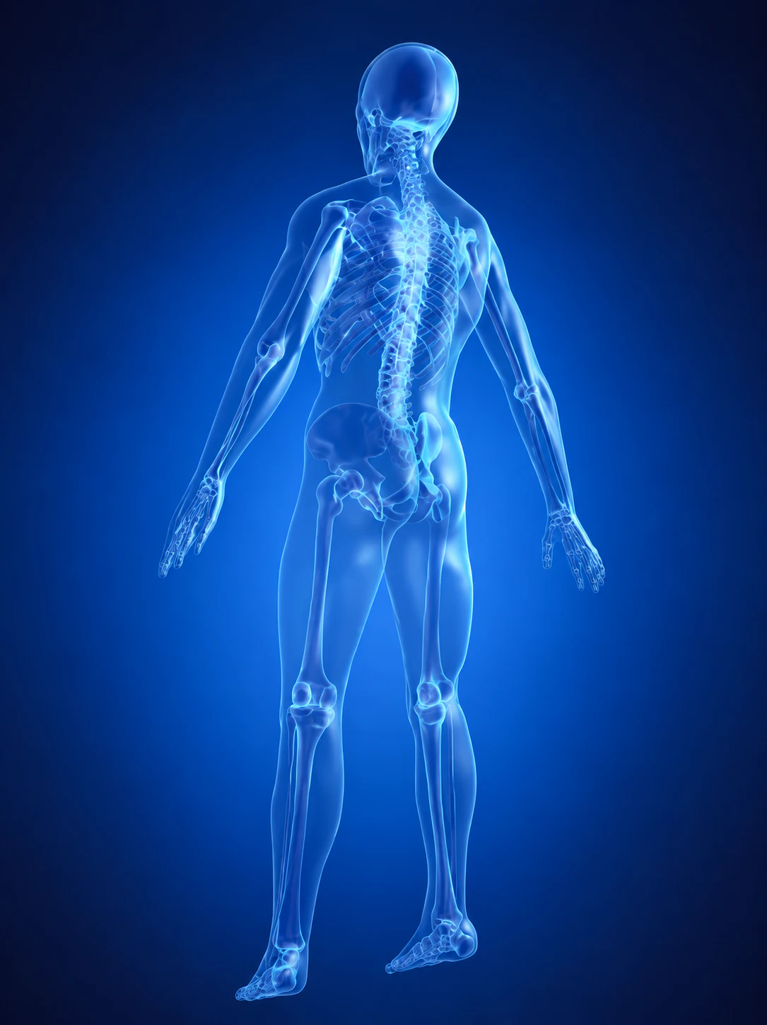 Especialistas en neurocirugia
